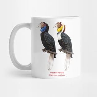 Wreathed hornbill | Rhyticeros undulatus ⚥ Mug